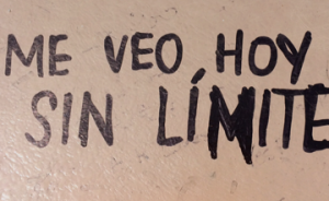 meveo1