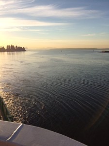 bainbridge